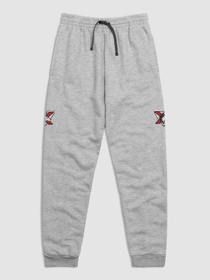 AlphaXSynergy Jerzees Unisex Joggers Right & Left Logo product image (2)