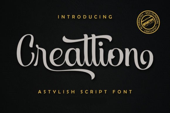 Creattion | Stylish Script Font product image (1)