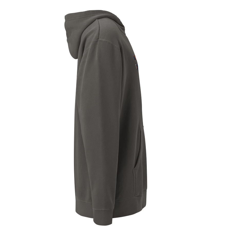 "not an expert..." Official Colour Hoodie product image (6)