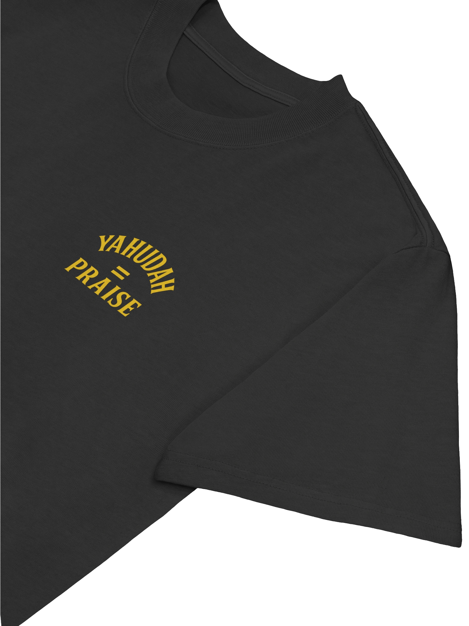 YAHUDAH = PRAISE Oversized Faded Tee product image (17)