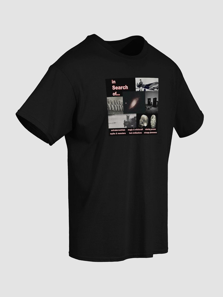 In Search Of... Gildan T-Shirt product image (22)