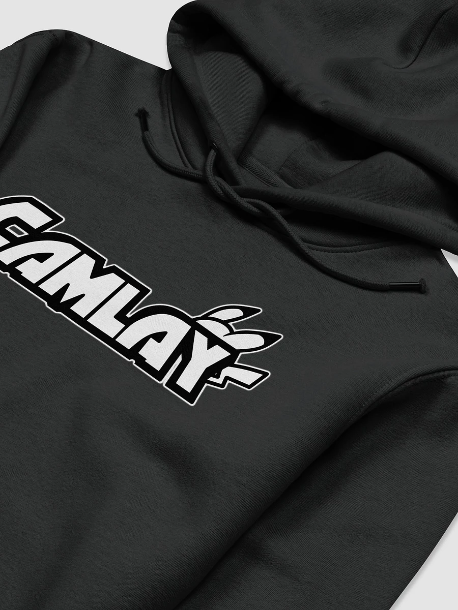 Thick Warm Camlay Logo Hoodie product image (11)