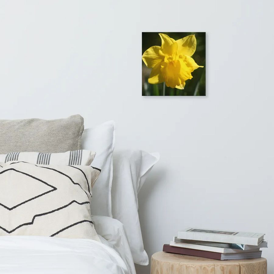 Daffodil product image (6)