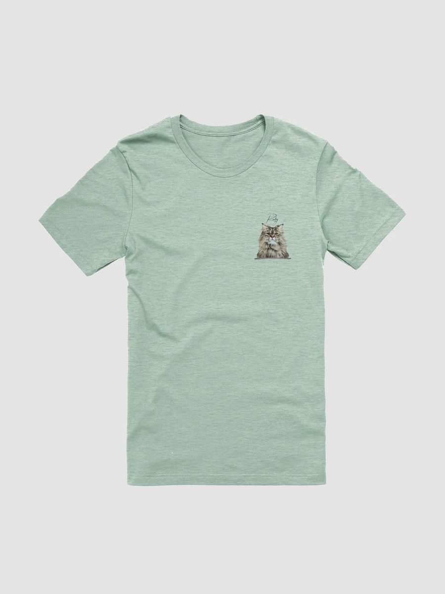 YOUR PERSIAN! / T-SHIRT WITH PERSONALIZED NAME / DIGITAL ART III product image (3)