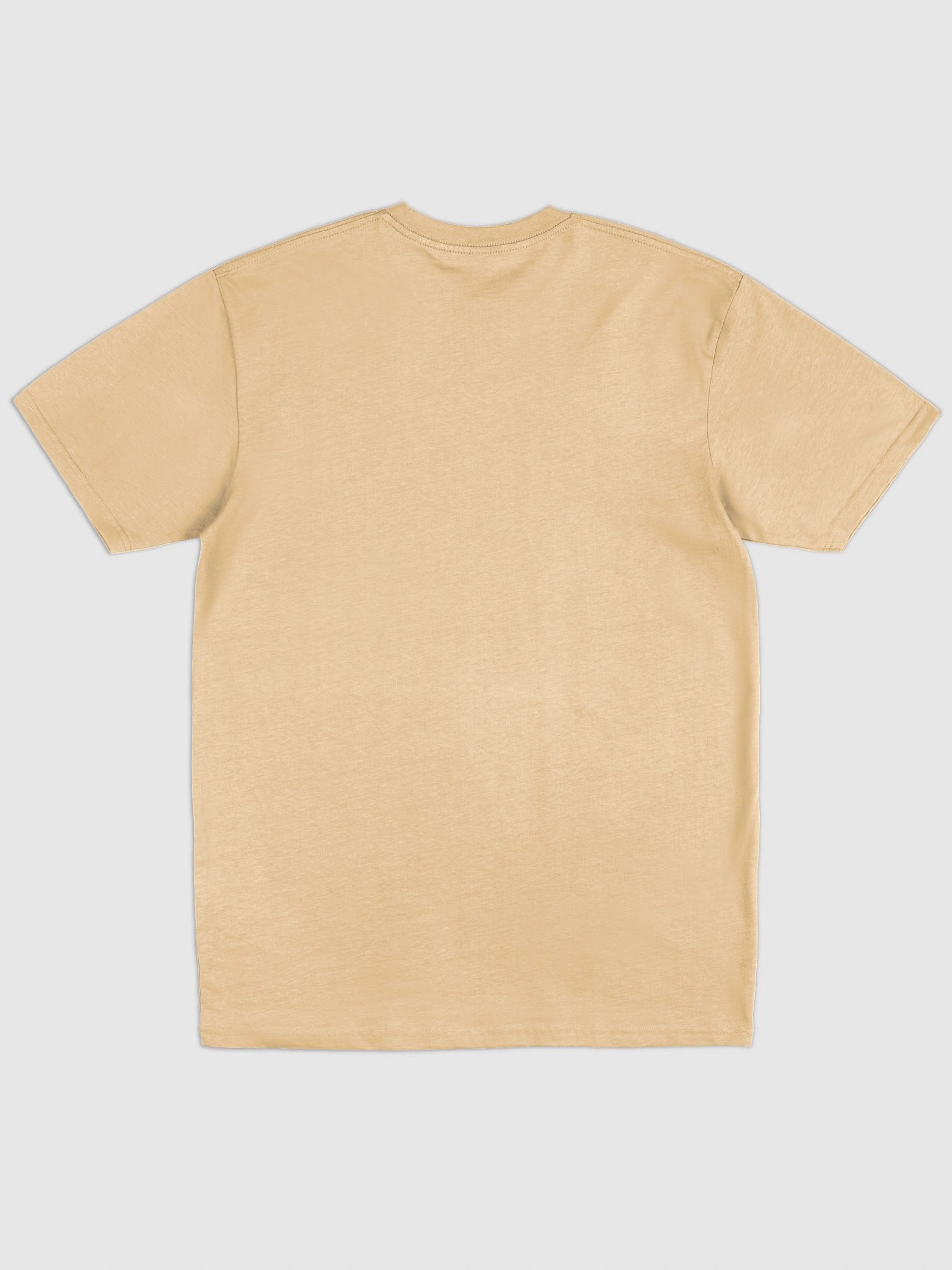 Swagpybara Men's Tee product image (2)
