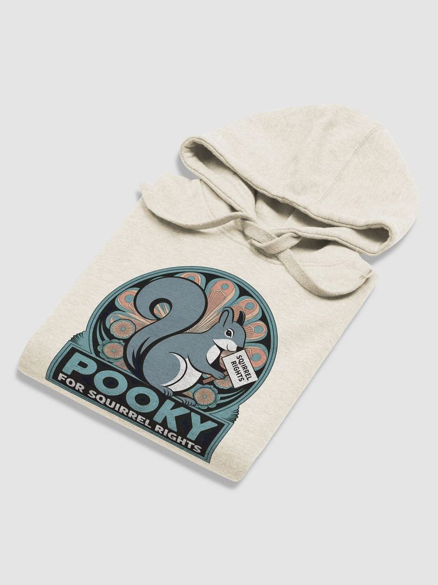 Super Soft Hoodie: Pooky for Squirrel Rights! Deco, teal font. product image (6)