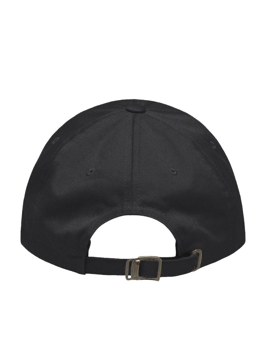 Ottawa Fat Cats - Eclipse Eye Dad Hat product image (4)