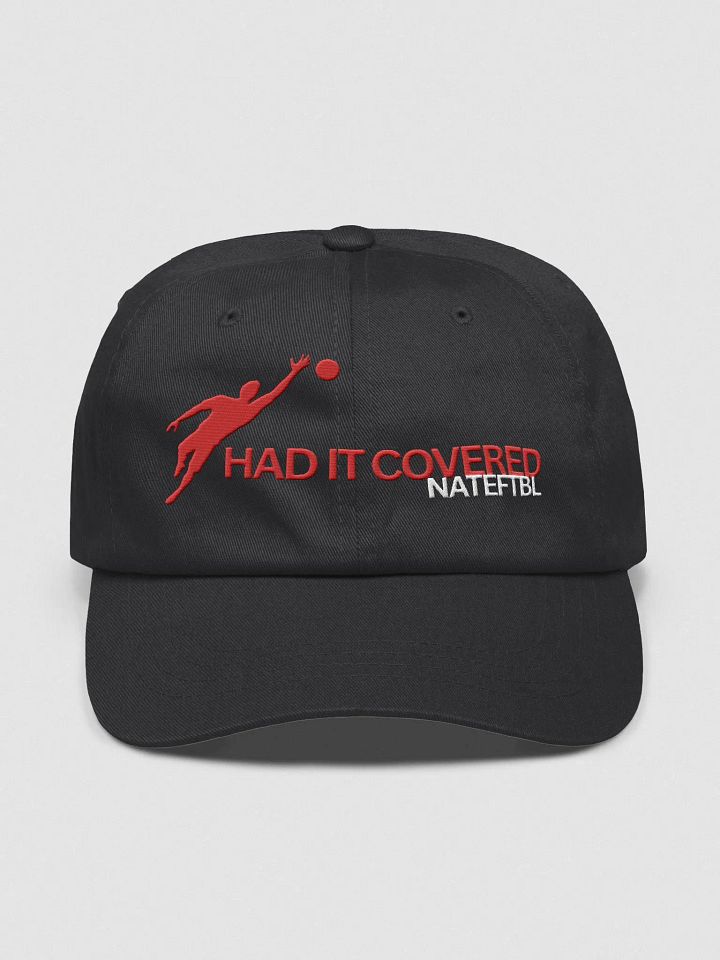 HAD IT COVERED HAT (EMBROIDERED) product image (1)