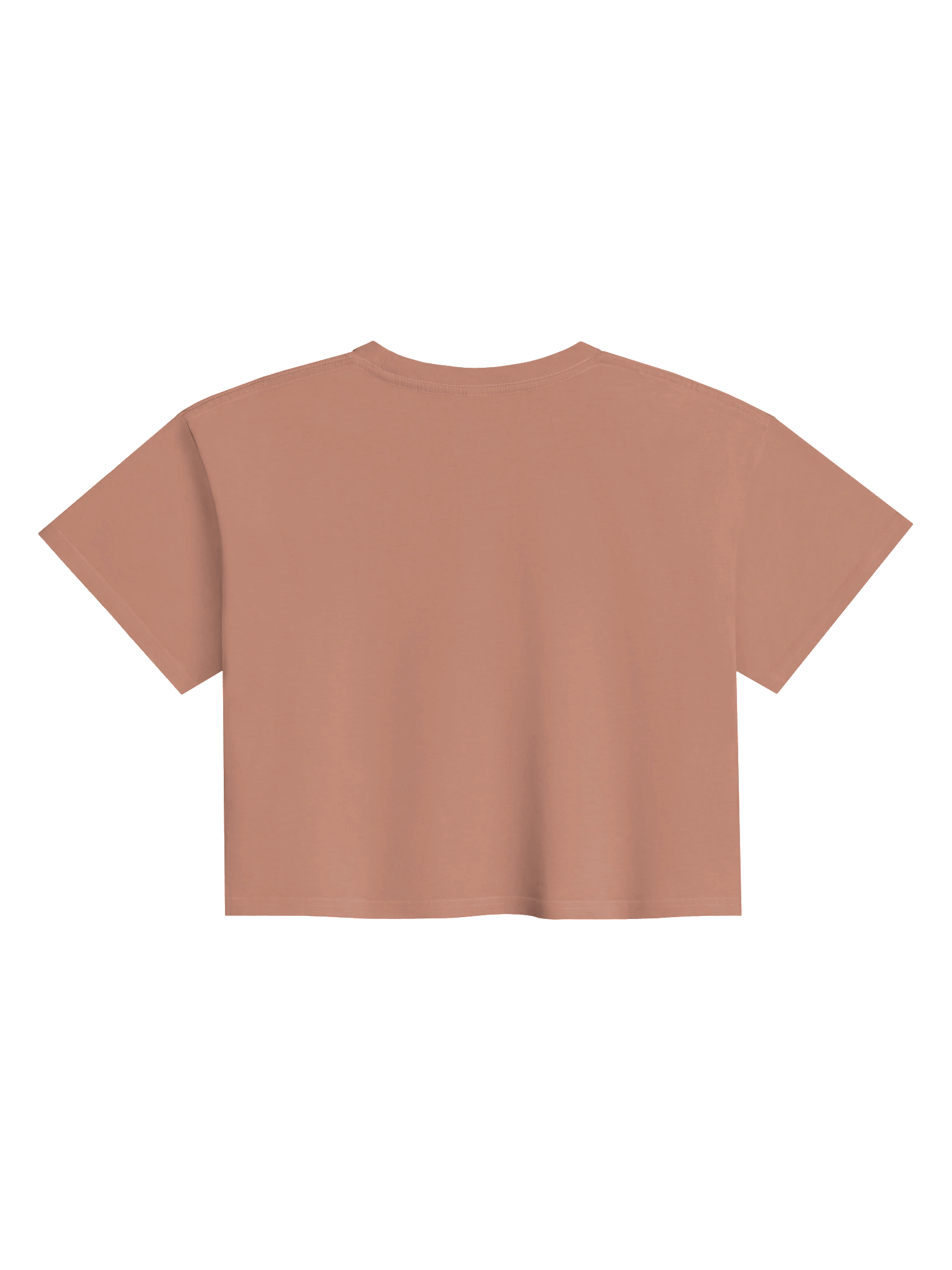 Desert Wanderlust Crop Top – Retro Travel Style product image (8)