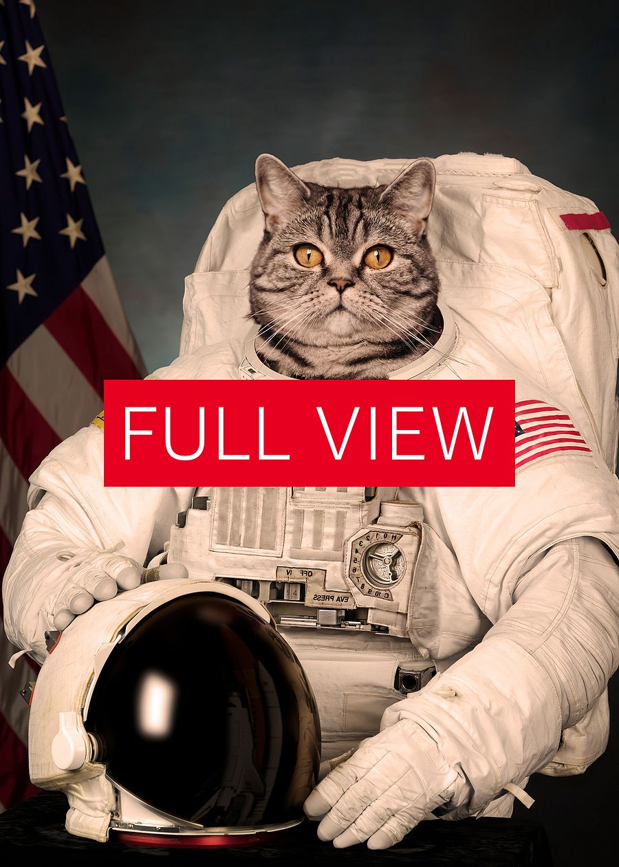 Cat Astronaut, NASA photo — space collage poster, astronaut photo portrait, digital collage, space poster product image (3)