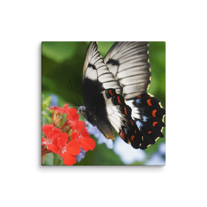 Butterfly on a Canvas product image (2)