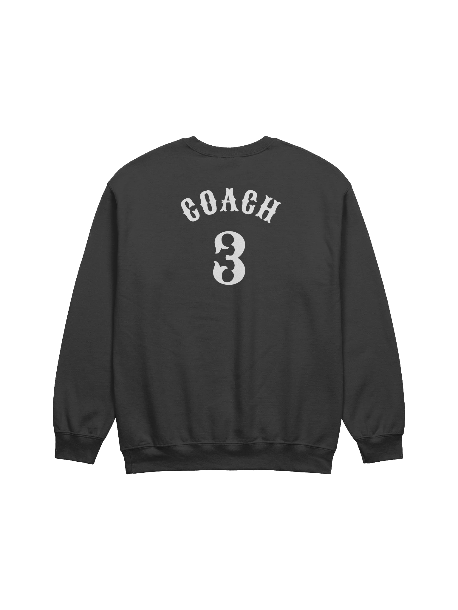 COACH 3 product image (2)