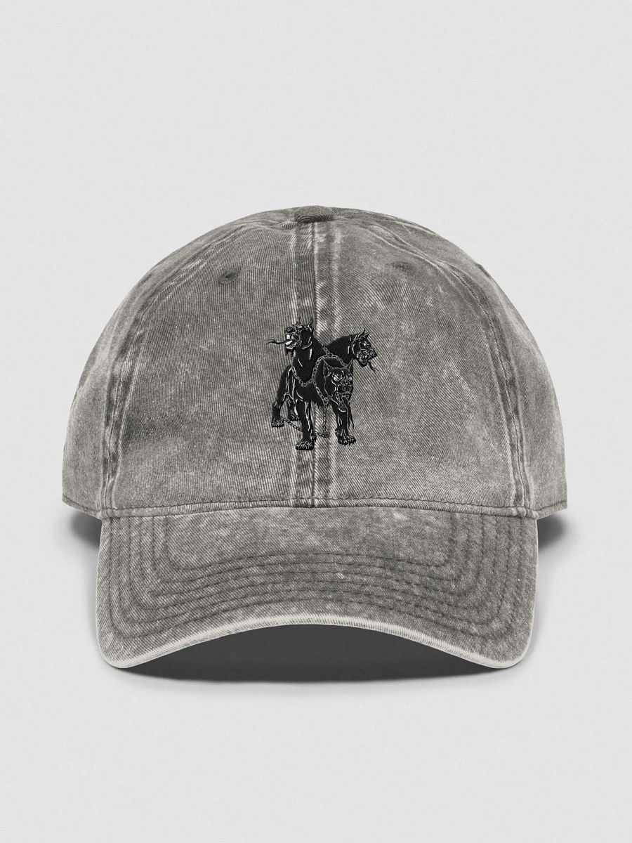 MONSTER series Adjustable Washed Hat w/ Embroidered Design - Cerberus product image (1)