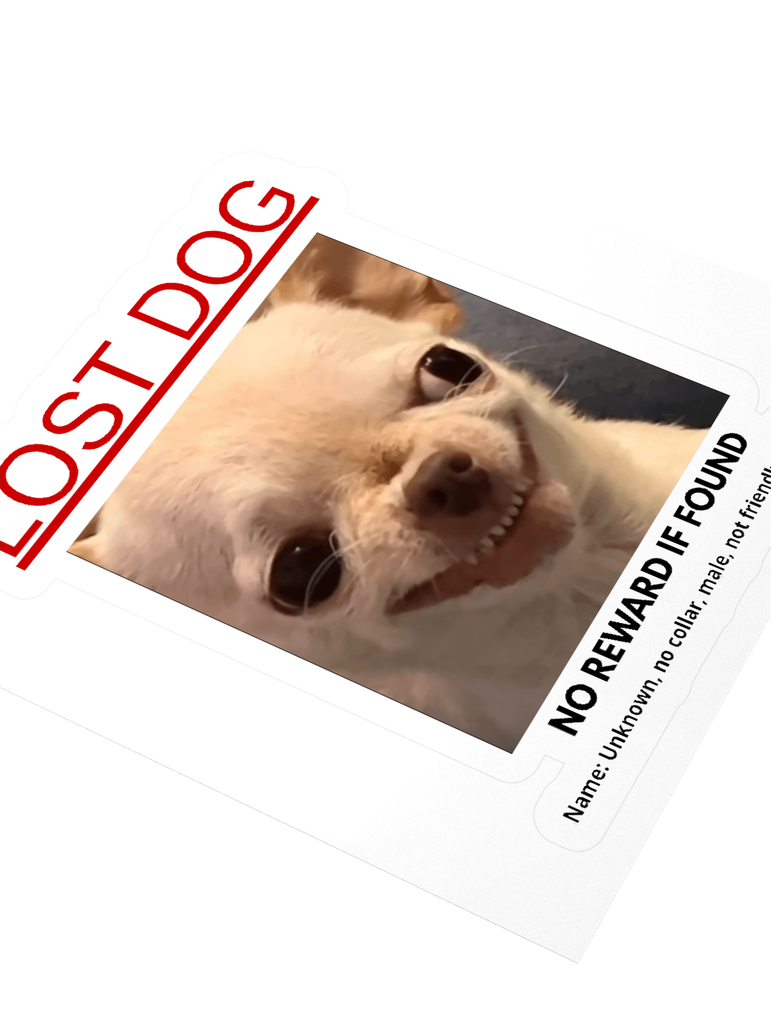 Lost Dog Sticker product image (3)