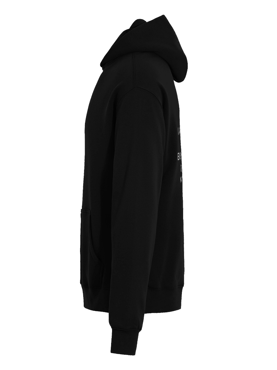 Matthew 28:20 Eclipse Oversized Hoodie product image (7)