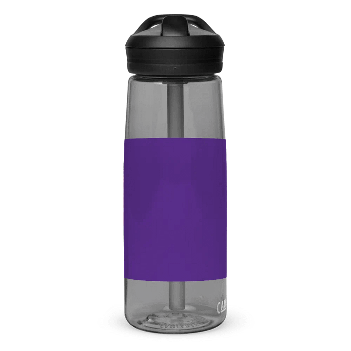 Moni and Bugsy Water Bottle product image (2)