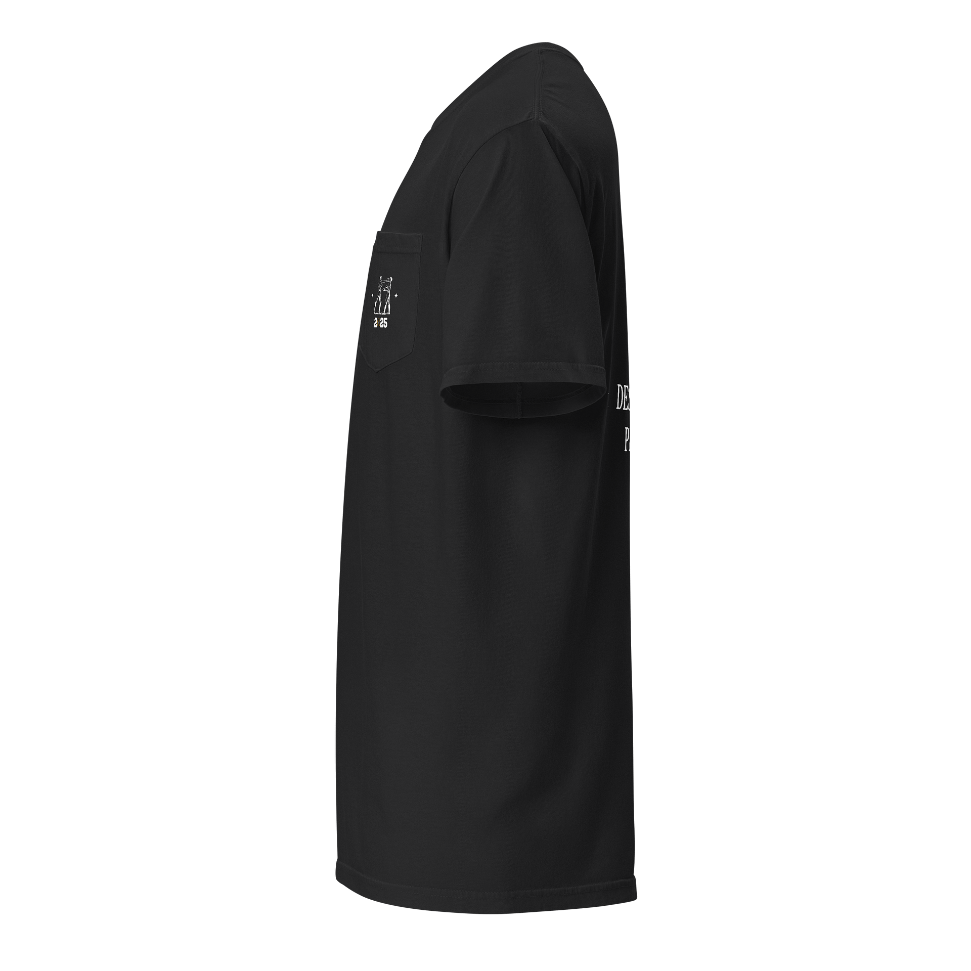 COMFORT COLORS IS TOO EXPENSIVE PLAYOFF TEE product image (9)