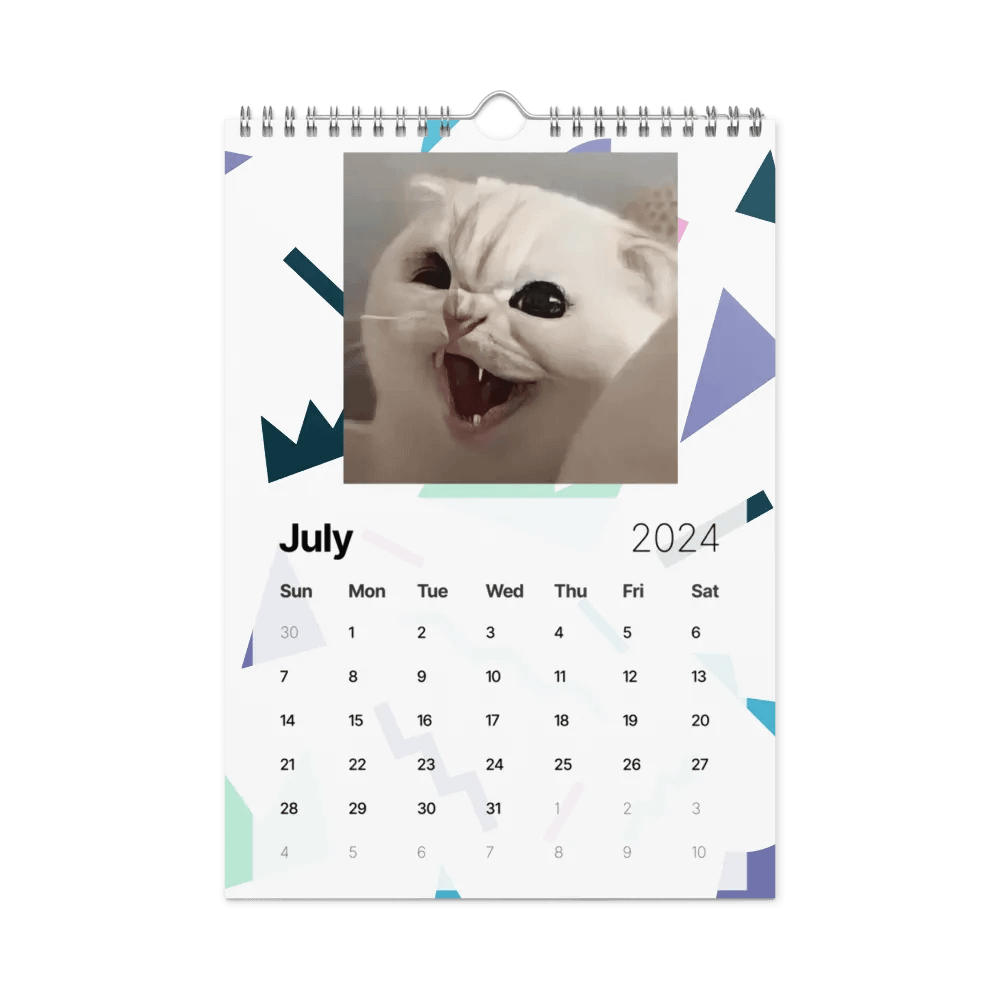 Wall Calendar (2024): Meme Cats product image (10)