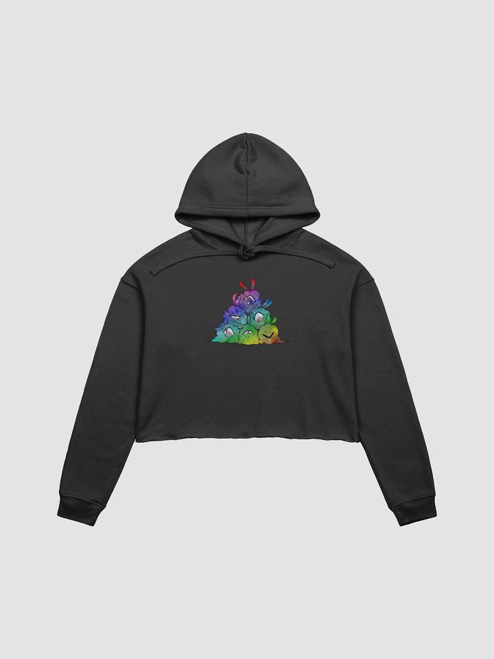 Starfluff Pride Crop Hoodie product image (1)