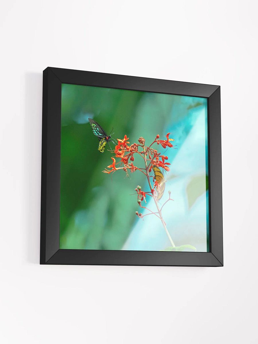 Love Joy Butterflies Beauty Framed Poster product image (9)