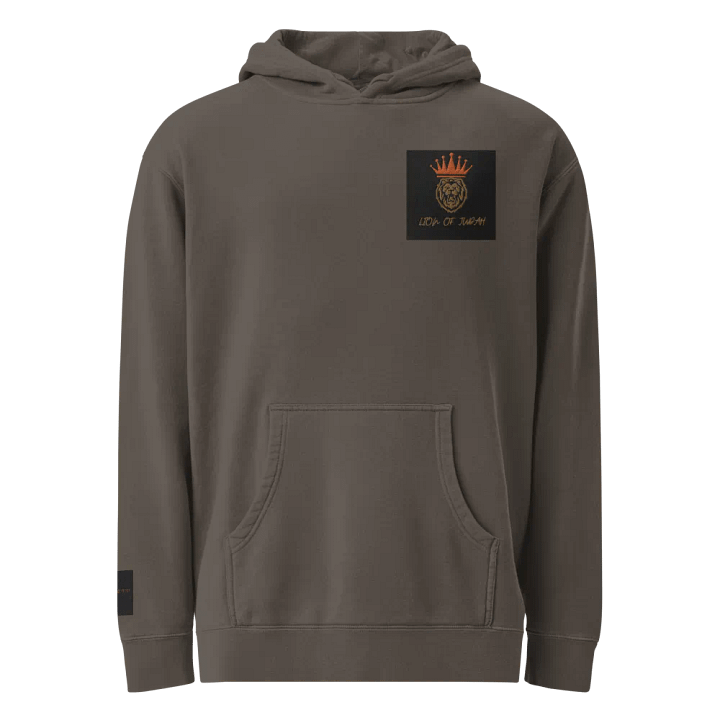 Crowned Lion of Judah Hoodie product image (1)
