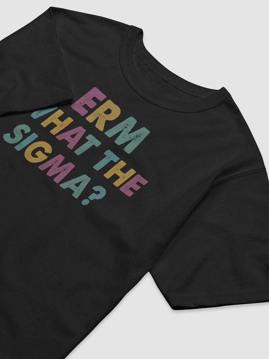 Erm, What the Sigma? - Funny T-Shirt product image (12)
