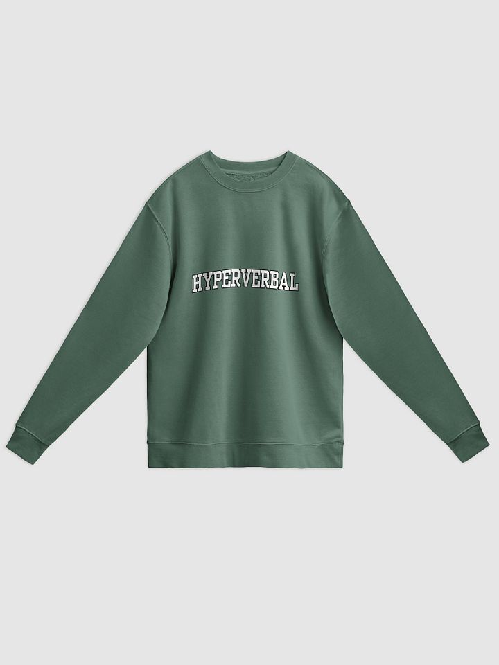 HYPERVERBAL printed pigment crewneck product image (6)