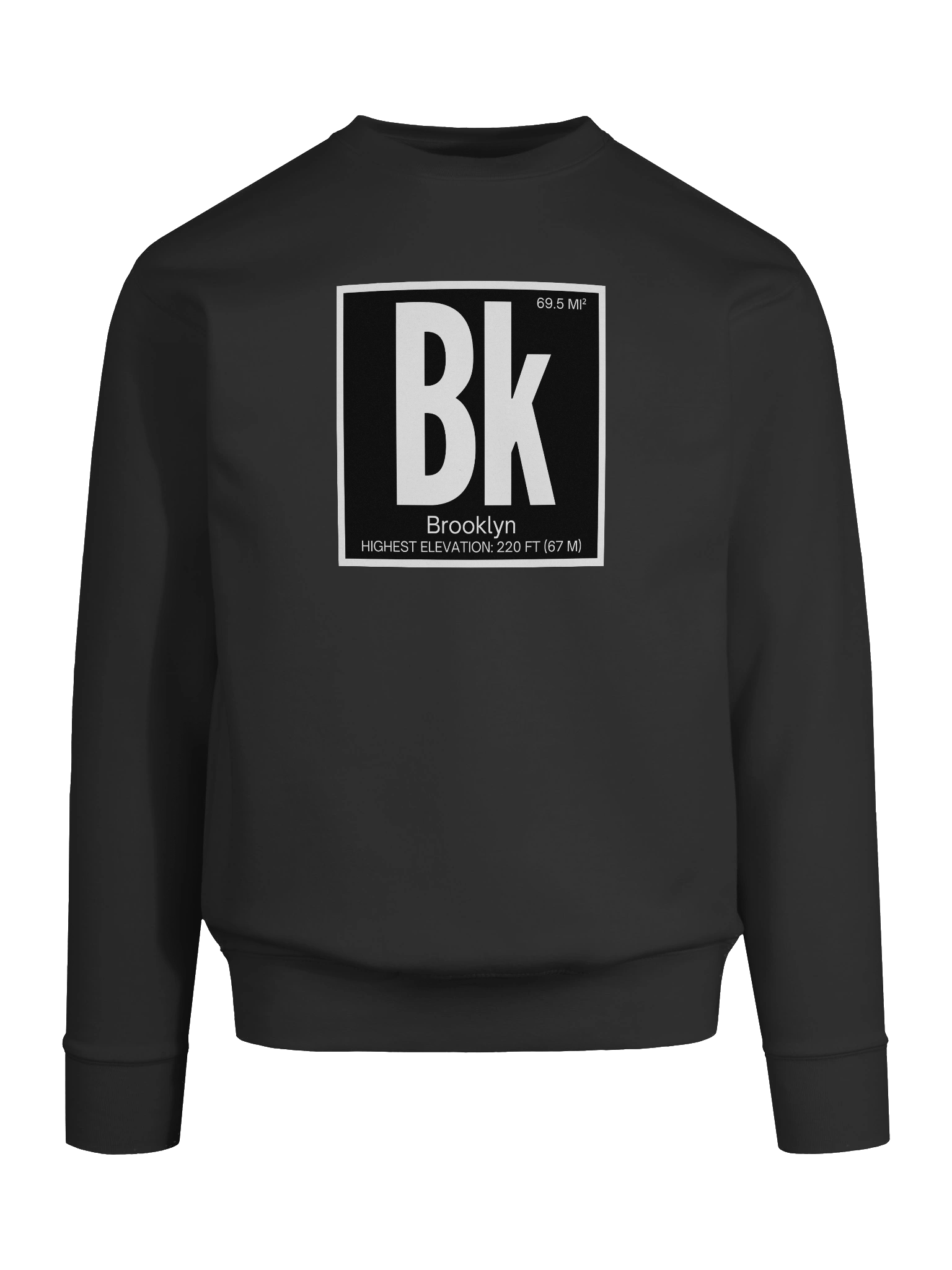 Brooklyn Element : Sweatshirt product image (65)