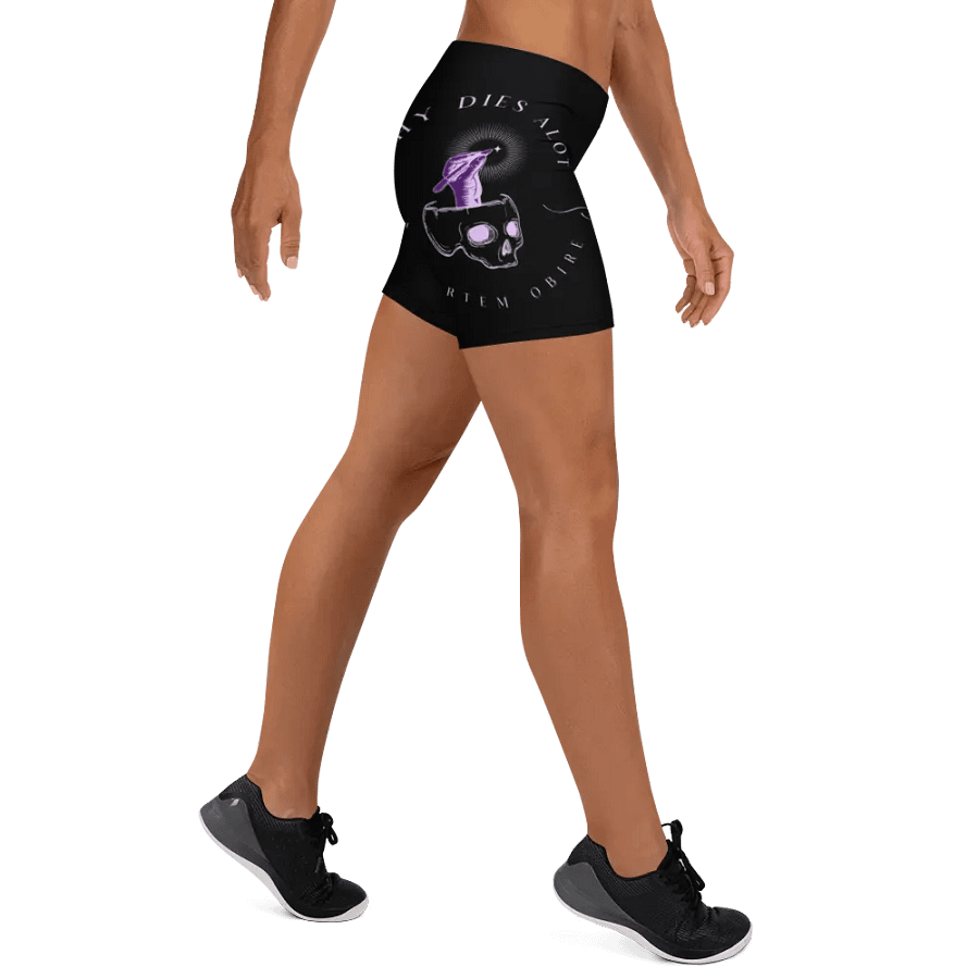 The Heritage Collection Lilac Shorts product image (9)