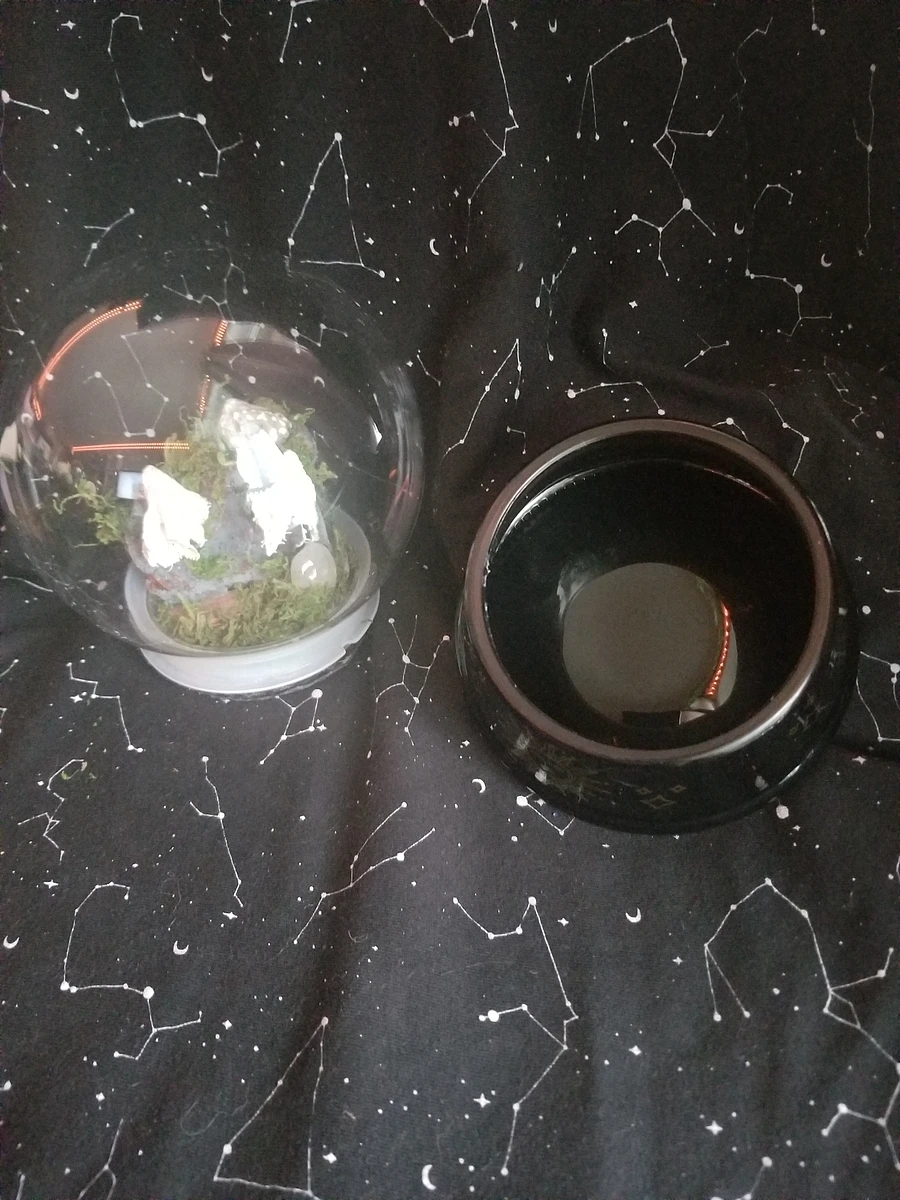 Haunted Terrarium Jar, A product image (5)