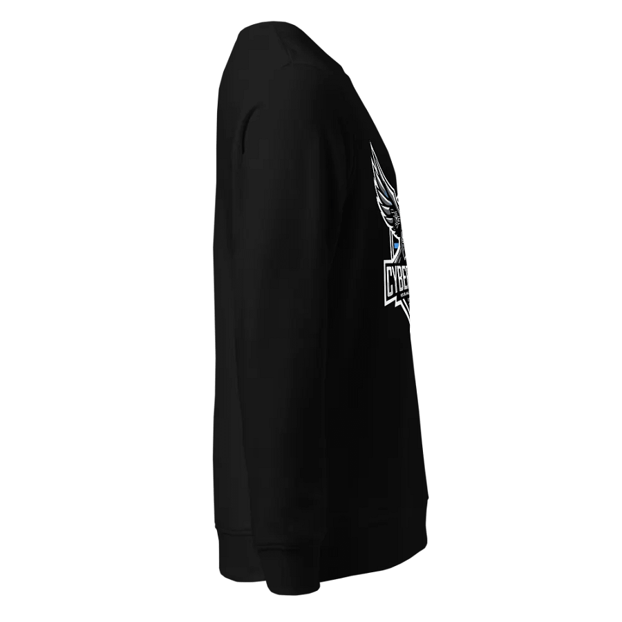 Sweatshirt product image (3)
