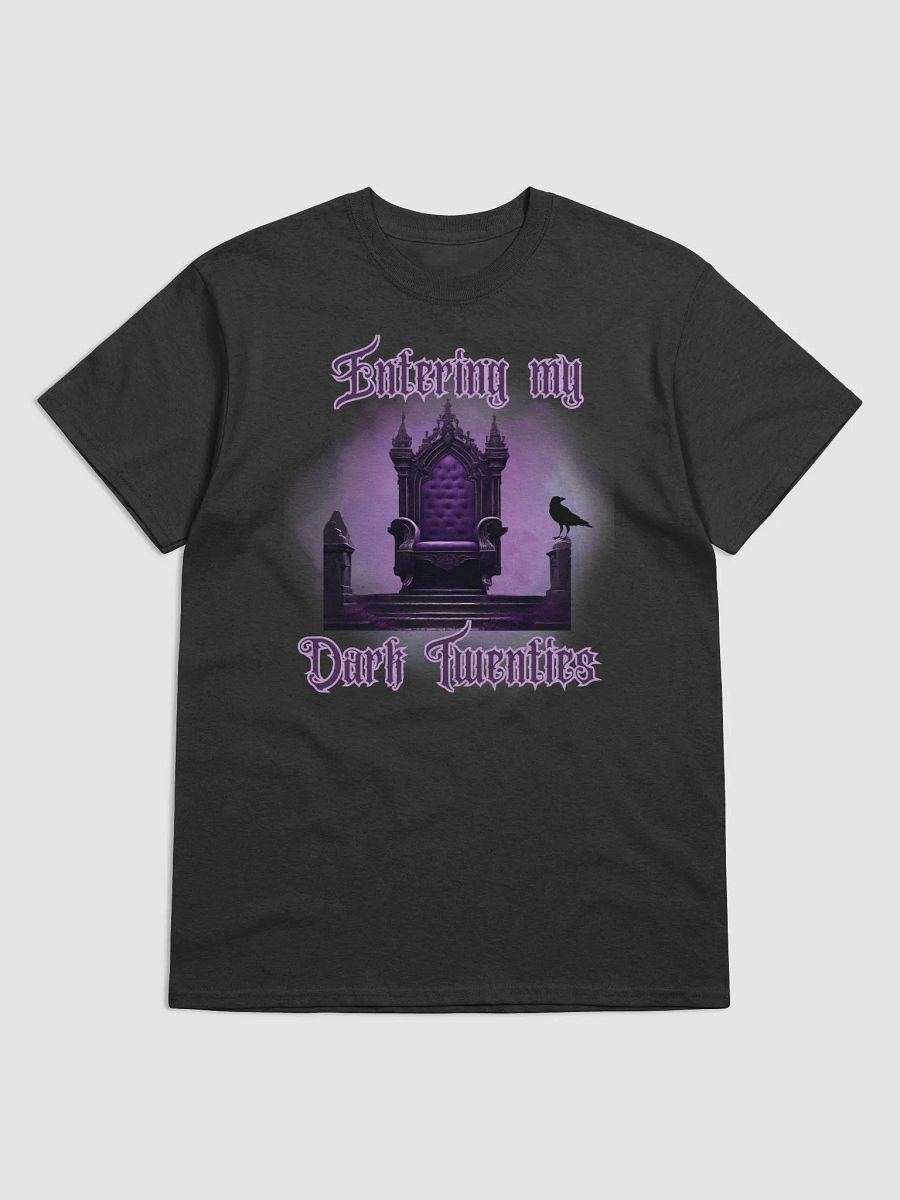 Entering my Dark Twenties Heavyweight Tee product image (1)