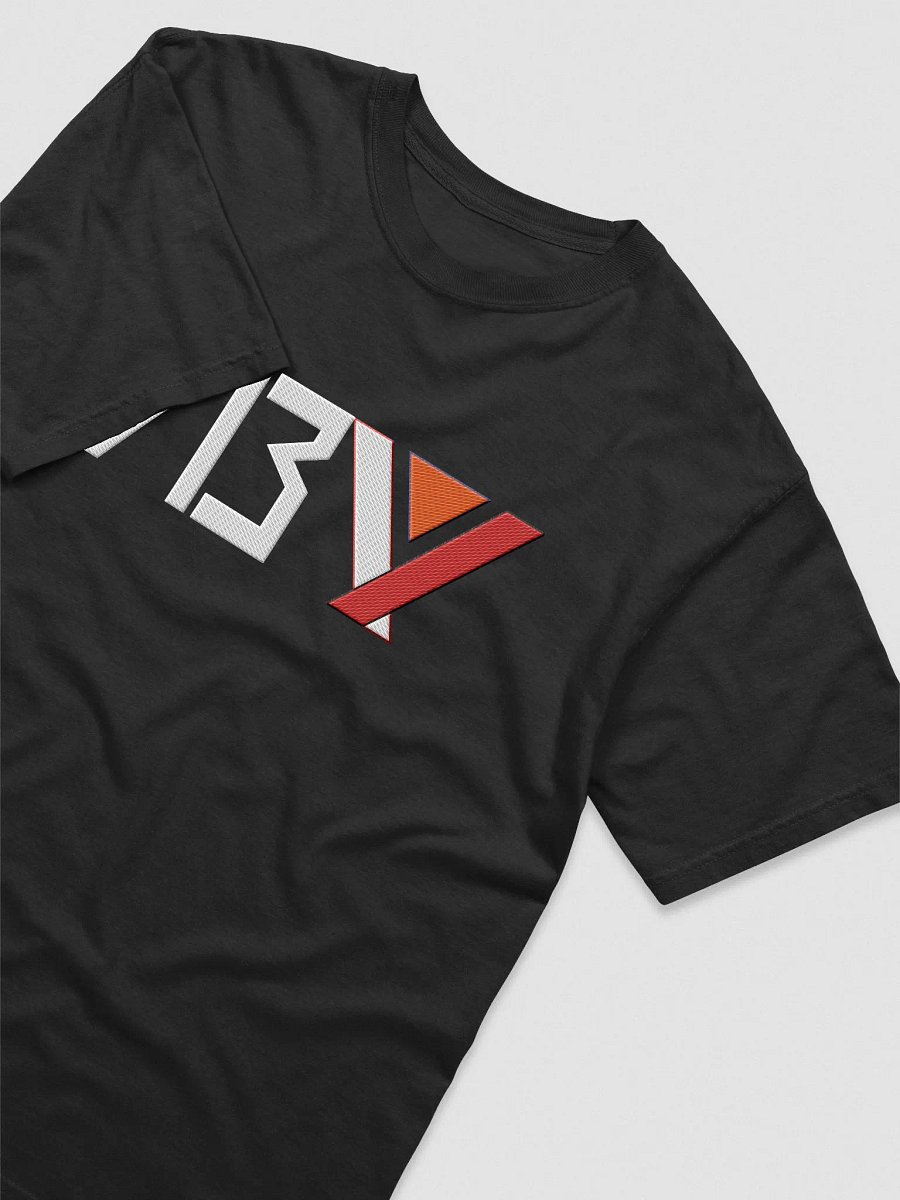 Houston Starwalkers 713 Day Tee | VGL product image (4)