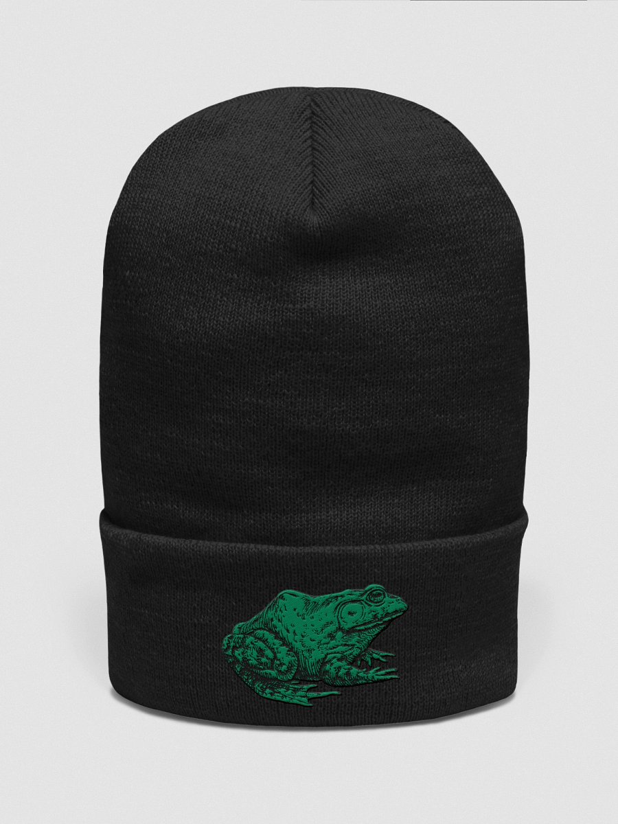 Frog Beanie product image (1)