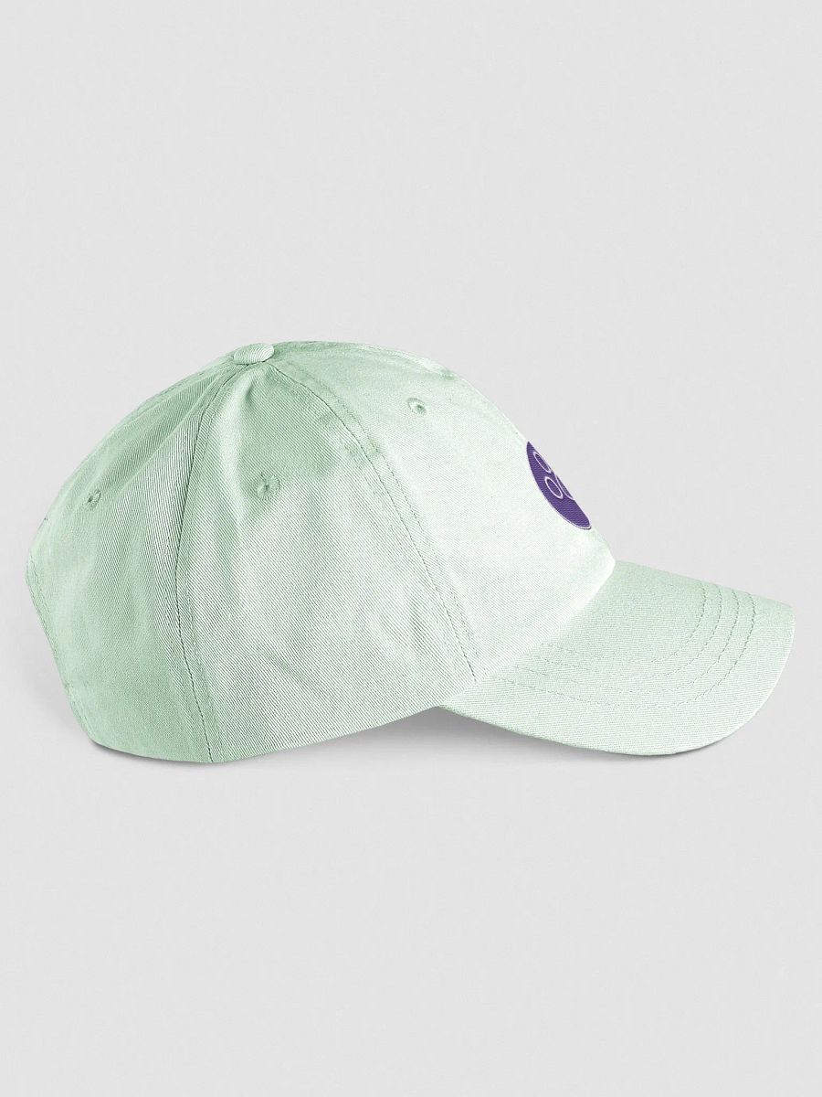 Squibble Design Paw Logo Embroidered Mint Cap product image (4)