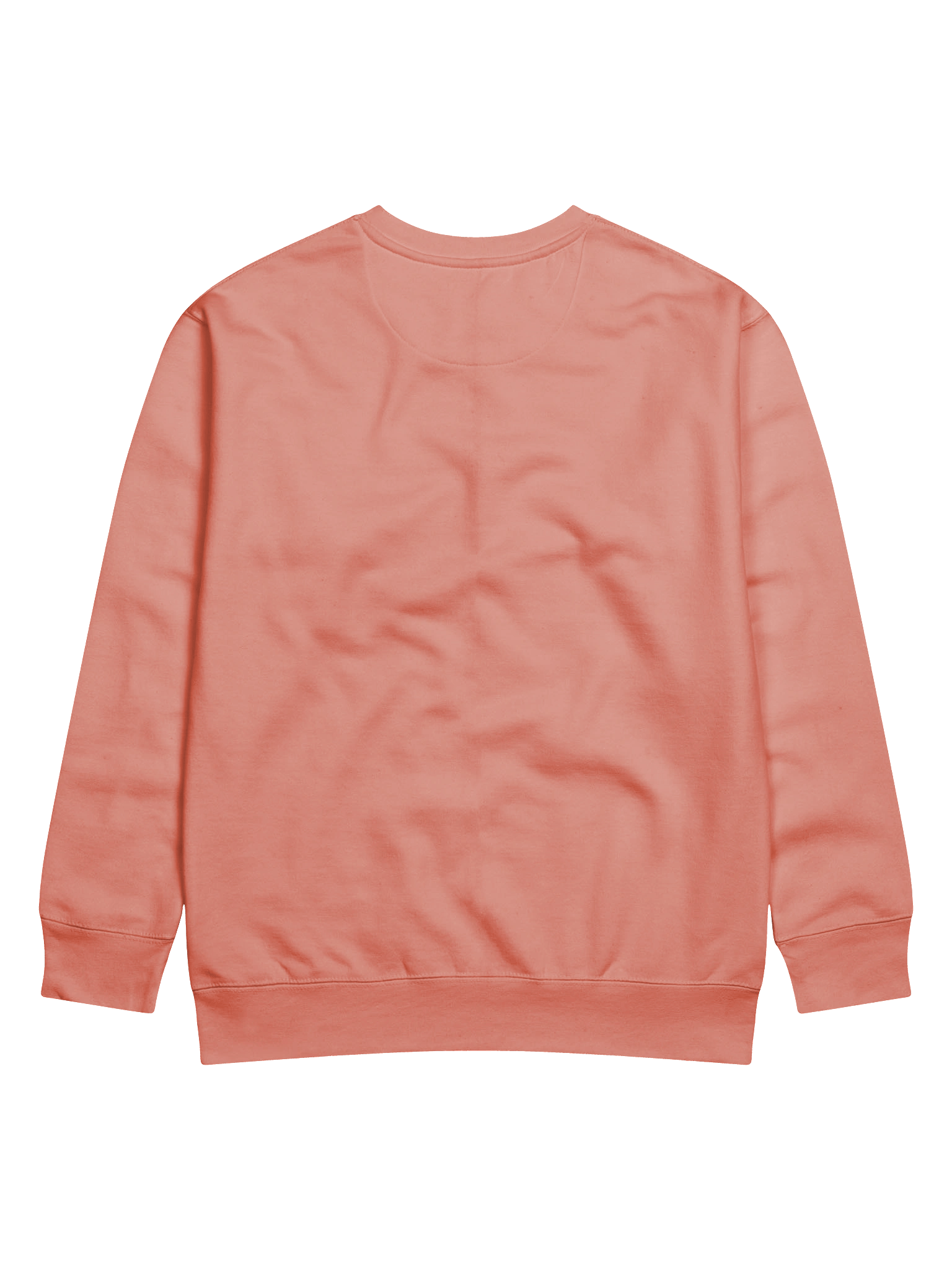 Heathens, Degenerates, Wild Ones, and Friends Sweatshirt (Black Text) product image (4)