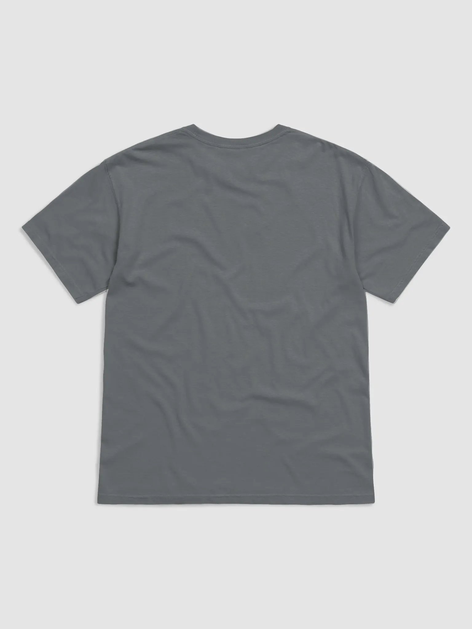 Haitian 365 Premium Ring-Spun Cotton T-Shirt product image (2)