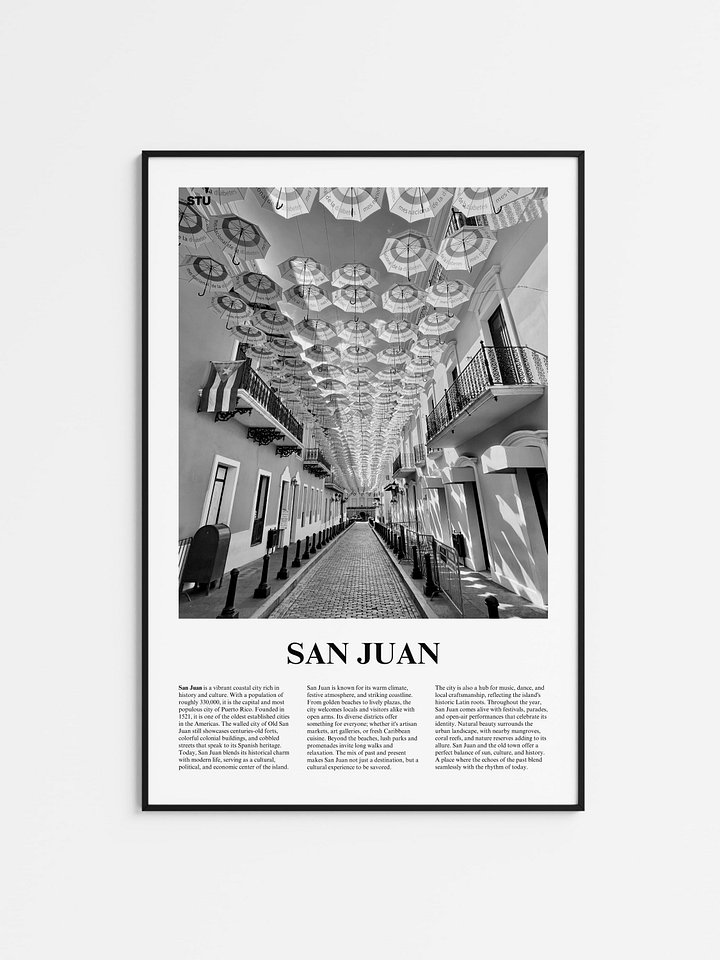 San Juan 03 Newspaper Poster product image (1)
