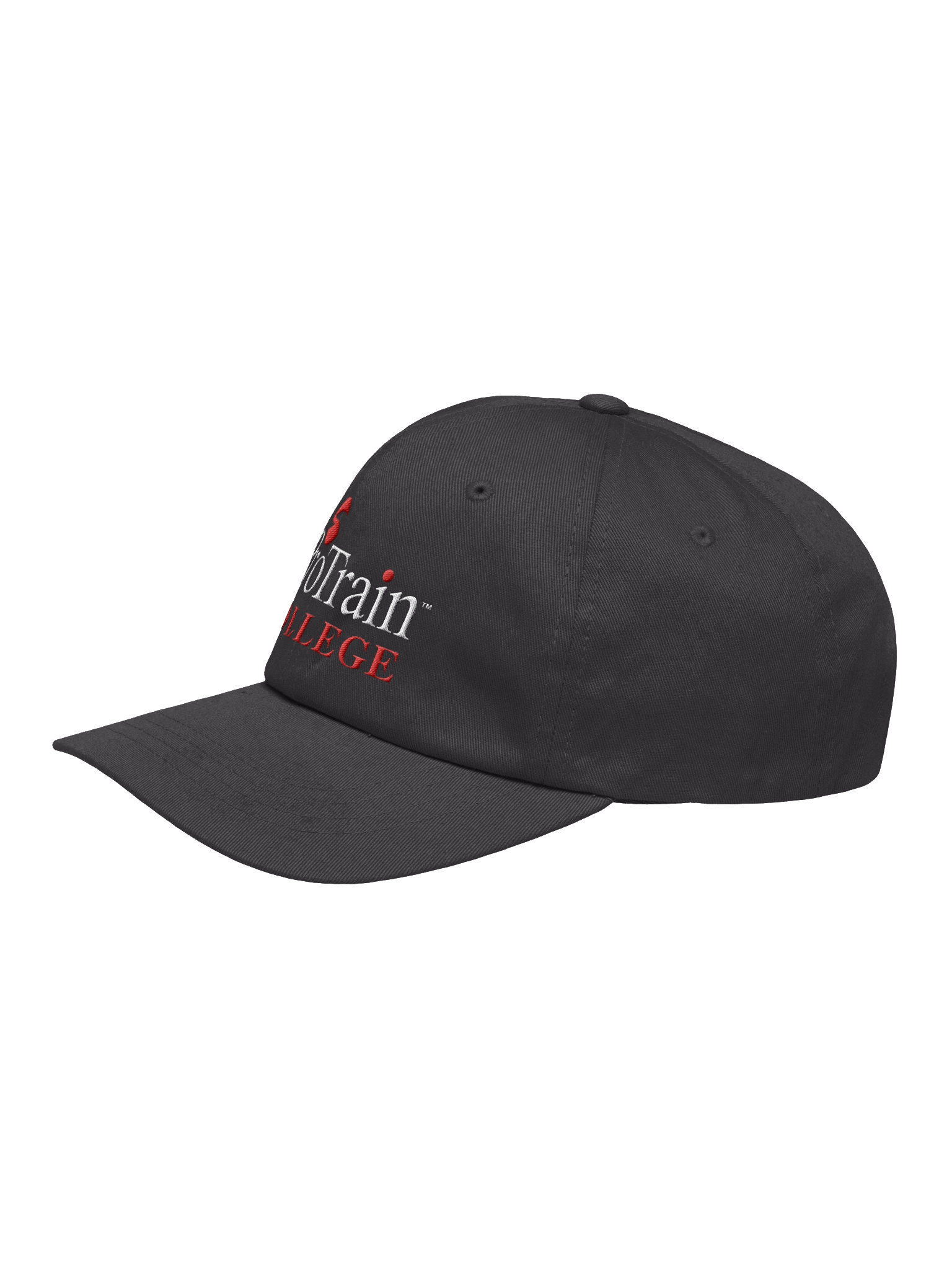 ProTrain College Classic Dad Hat product image (3)
