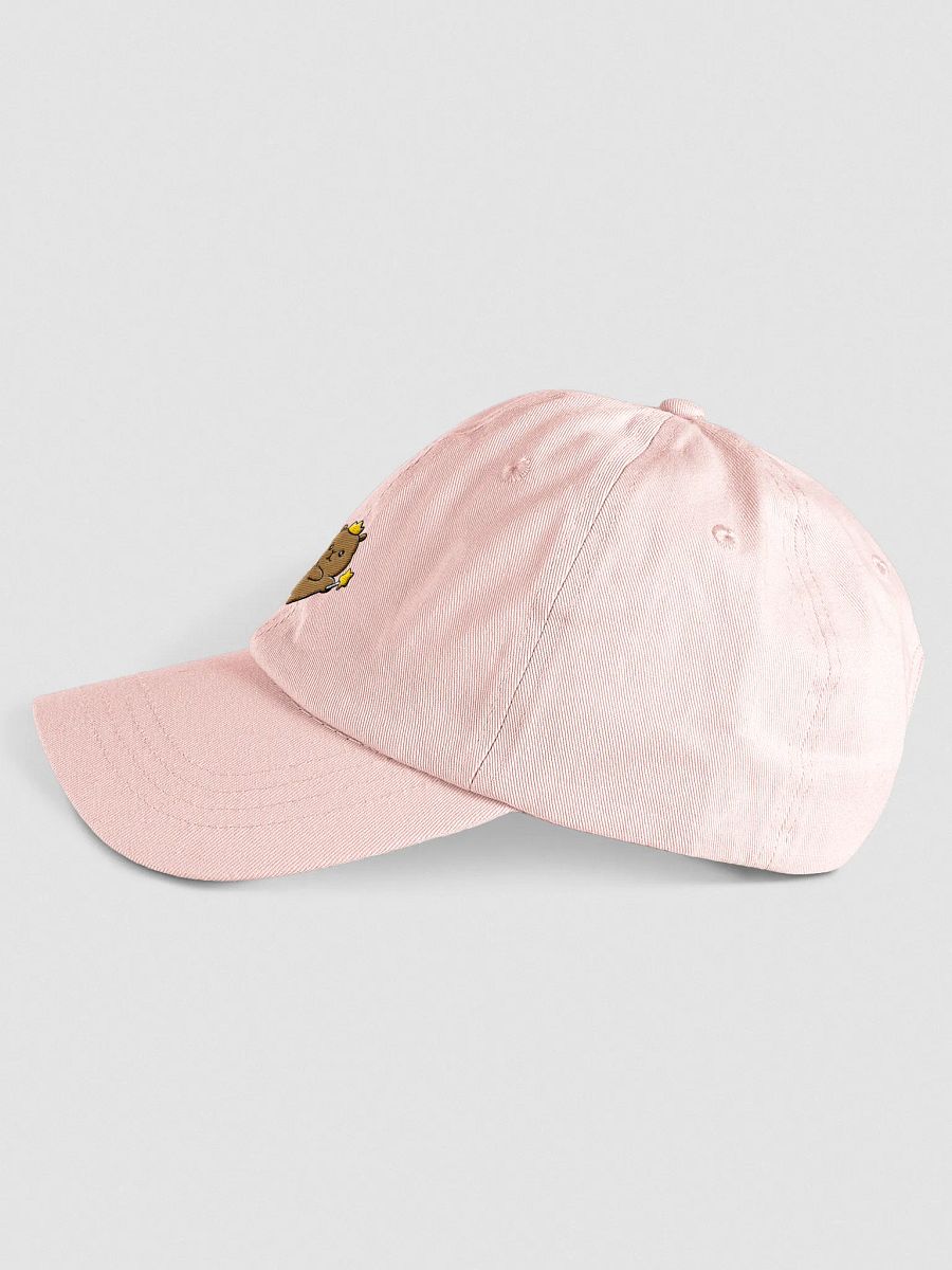 Fairybara Embroidered Dad Hat product image (7)