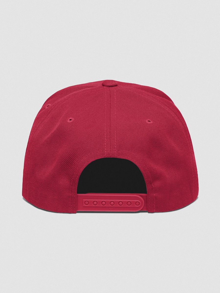 DSR Electric Hat - 4 Neubert product image (81)