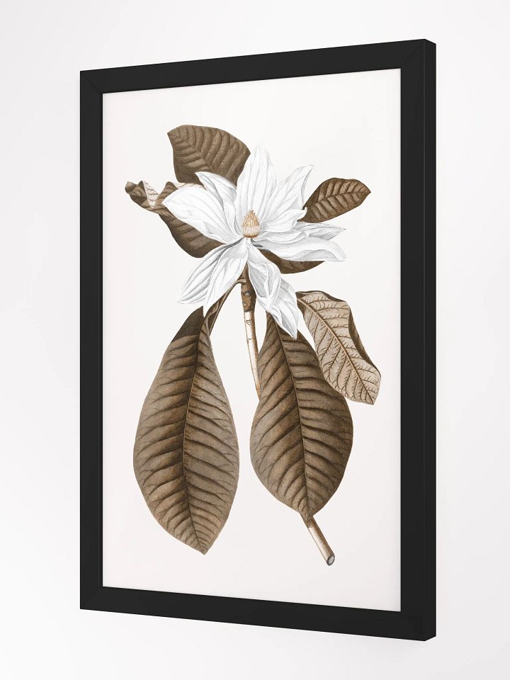 Magnolia Grandiflora #4 Framed Print product image (2)