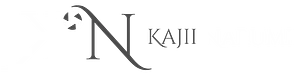 Kajii-Store 