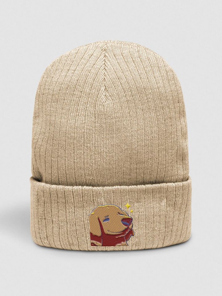 verydaSmile Beanie product image (1)