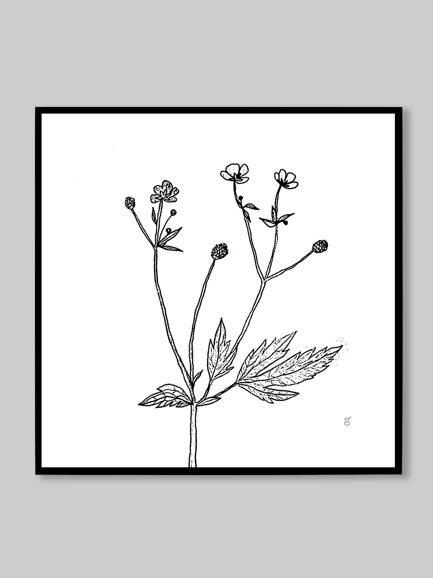 Botanical Bliss Canvas - Wild Flowers product image (9)