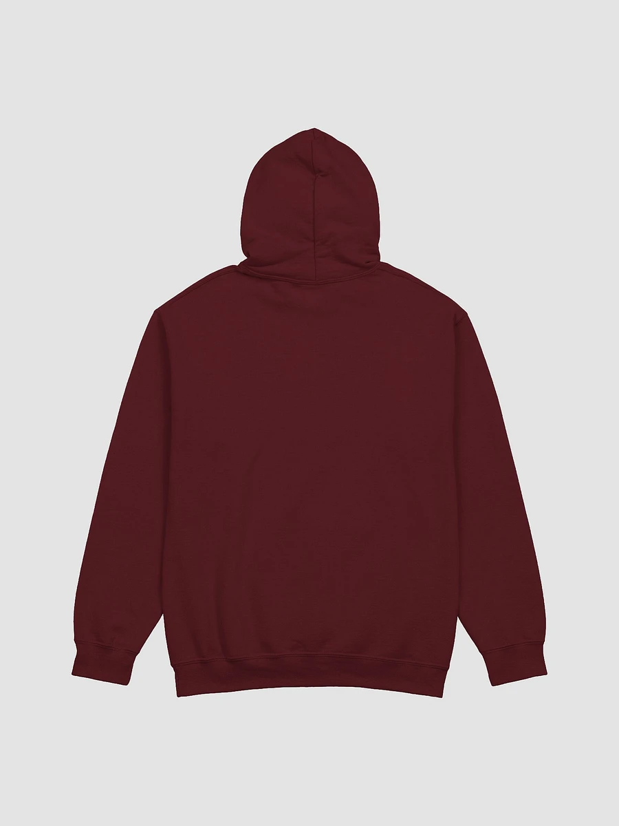 Aver Viodoxa Hoodie product image (29)