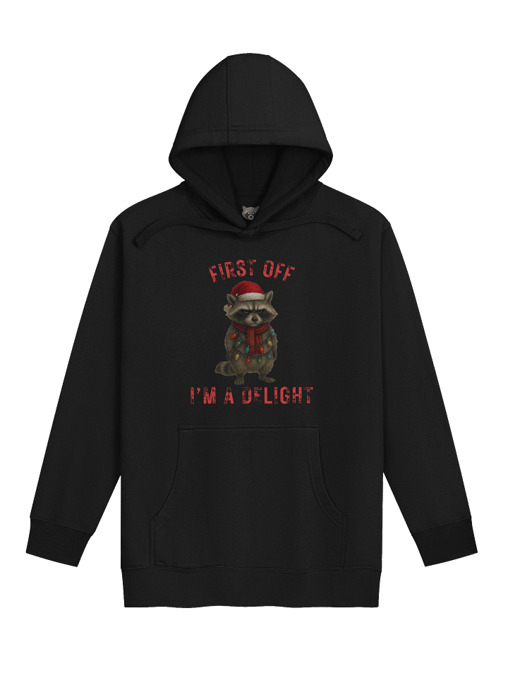 Gabi's I'm a Delight Raccoon Hoodie product image (5)