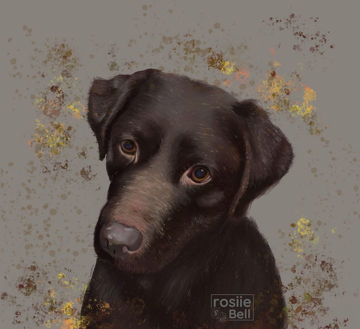 Chocolate Labrador product image (2)