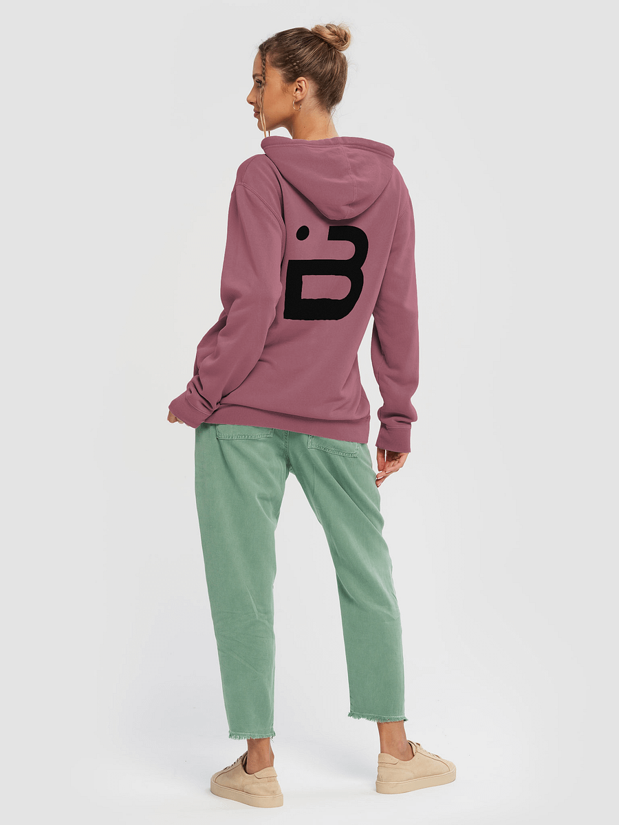 BUIII Originals Logo Black Premium Vintage Hoodie product image (32)