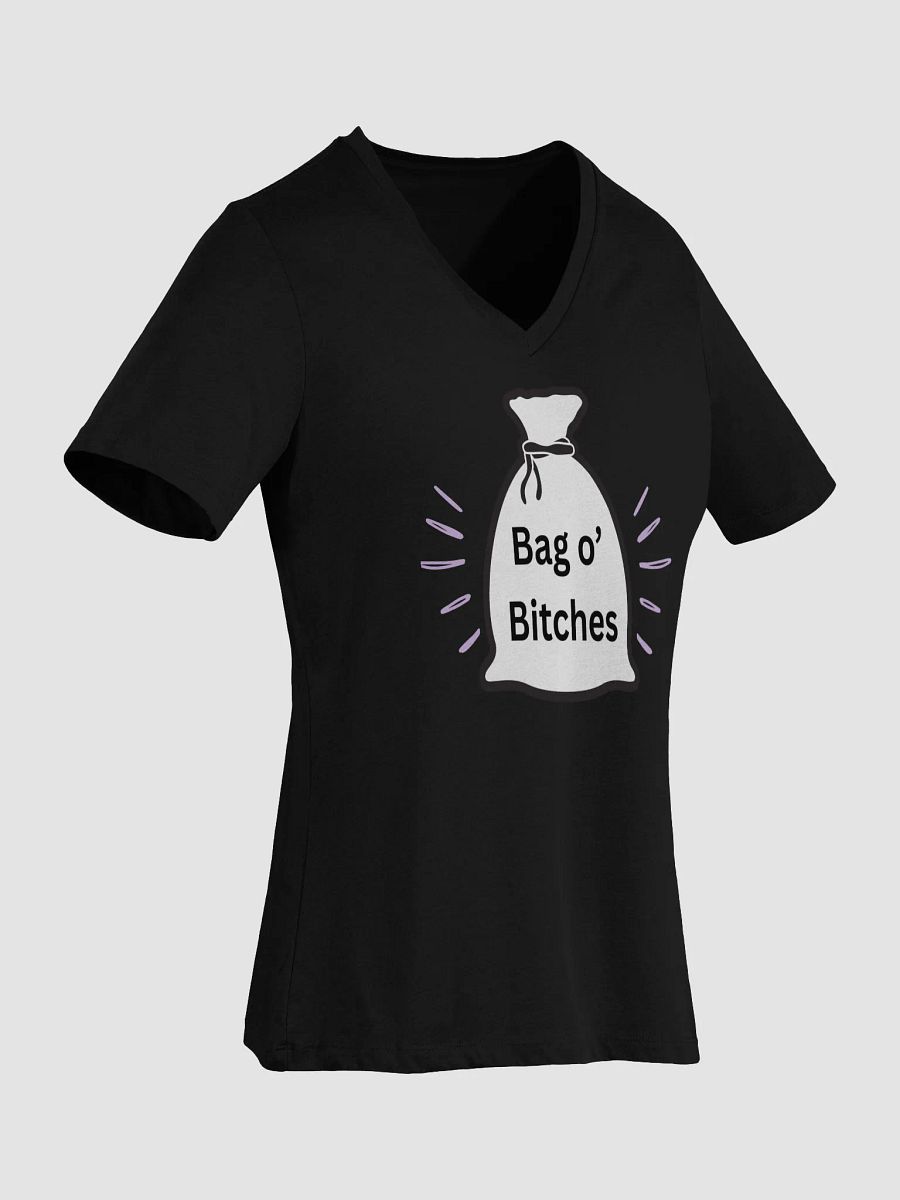 Bag O' Bitches T-Shirt product image (8)
